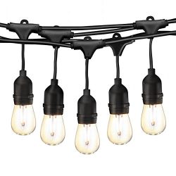 49Ft LED Outdoor String Lights, Commercial Globe Lights with 15 Edison Vintage Dimmable Bulbs, W ...
