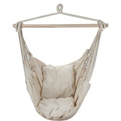 Swing Hanging Hammock Chair With Two Cushions (White)