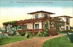 A California Winter Home And Vine Covered Pergola Scenic Original Vintage Postcard