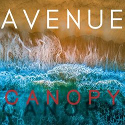 Canopy