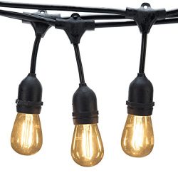 Generalight LED Commercial Grade Outdoor String Lights with 8 Hanging Sockets-2 Watt Bulbs ̵ ...