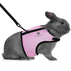 SunGrow Trixie Rabbit Harness (Peppy Pink Color) with Velcro and Fully Elastic Leash : Breathabl ...