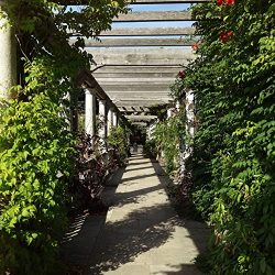 London Photography, London Print, England Photography, England Print, Hampstead Pergola, Nature  ...