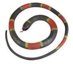 48″ Fake Eastern Coral Snake