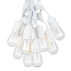 37.5 Foot S14 Edison Outdoor String Lights – Suspended – Commercial Grade – Backyard ...