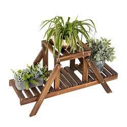 MyGift 32-Inch Burnt Wood 2-Tier Plant Stand, Garden Display Shelf