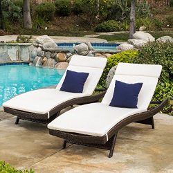 Christopher Knight Home 585 Salem Chaise Outdoor Lounge (Set of 2)