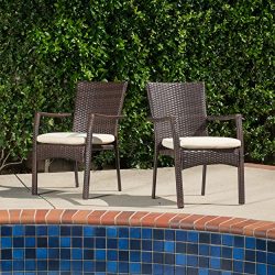 (Set of 2) Melba Outdoor Brown Wicker Dining Chair with Beige Cushion