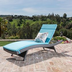 Christopher Knight Home 594 Salem Chaise Outdoor Lounge (Set of 2)