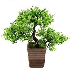 GTidea 10.6 inch Artificial Cedar Bonsai Trees Fake Potted Plants indoor Evergreen Home Office T ...