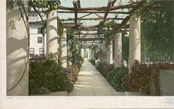 Vintage Postcard Print | Pergola, Hotel Maryland, Pasadena, Calif., 1898 | Historical Antique Fi ...