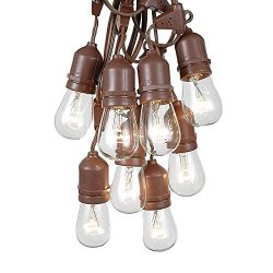 100 Foot S14 Edison Outdoor String Lights – Suspended – Commercial Grade – Backyard  ...