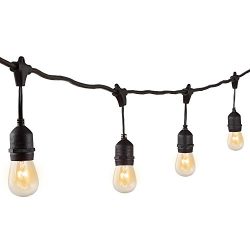 Niosta Commercial Grade Outdoor String Lights,24ft,12 Incandescent Bulbs,UL Listed, Hanging Indo ...