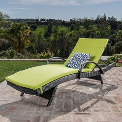 Christopher Knight Home 549 Salem Chaise Outdoor Lounge (Set of 2)