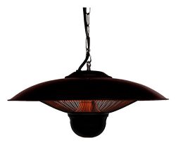 Ener-G+ Indoor/Outdoor Ceiling Electric Patio Heater with LED Light and Remote Control, Black