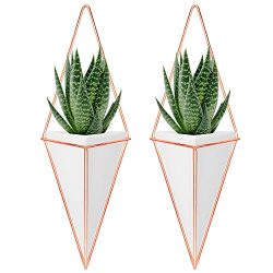 Nellam Ceramic Planter Set – 2 Pcs Modern Geometric Hanging Wall Pots – Copper Frame ...