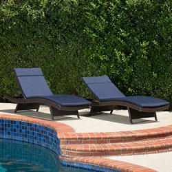 Christopher Knight Home 295933 Lakeport Patio-Chaise-Lounges