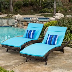 Christopher Knight Home 590 Salem Chaise Outdoor Lounge (Set of 2)