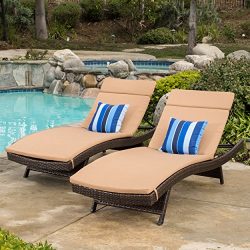 Christopher Knight Home 602 Salem Chaise Outdoor Lounge (Set of 2)