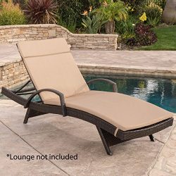 Christopher Knight Home 603 Salem Chaise Outdoor Lounge (Set of 2)