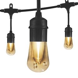 Enbrighten Vintage LED Cafe String Lights, Black, 24 Foot Length, 12 Impact Resistant Lifetime B ...