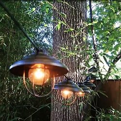 OxyLED Indoor/Outdoor String Lights, Waterproof Fairy Lights for Chrismas Xmas Tree, Garden, Ter ...
