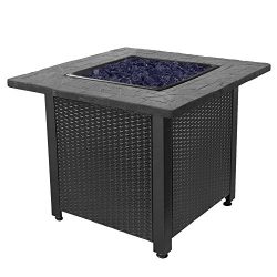 Endless Summer 30-Inch Outdoor LP Gas Fire Pit