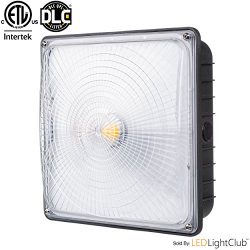 Parmida LED Canopy Light, 45W, 0-10V Dimmable, 5200lm, 110-277VAC, IP65 WATERPROOF, DLC-Qualifie ...