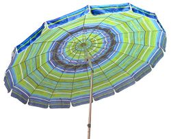 Impact Canopy 480019902 Umbrella, Blue/Green