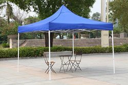 American Phoenix 10×10 10×15 10×20 [White Frame] Portable Event Canopy Tent, Cano ...