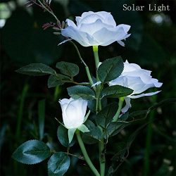 HighlifeS Outdoor Solar Garden Stake Lights – Solar Powered Lights with 3 Rose Flower, Whi ...