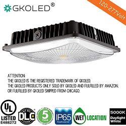 GKOLED 45W LED Canopy Light,UL-Listed and DLC-Qualified,5000K Daylight White, 5300Lumen, 120-277 ...