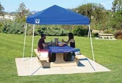 Sport Canopy, 8×8 x 102″ H, Blue