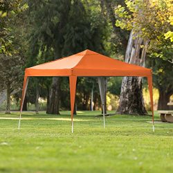 Best Choice Products 10x10ft Outdoor Portable Adjustable Instant Pop Up Gazebo Canopy Tent w/Car ...