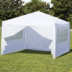 Best Choice Products 10x10ft Portable Lightweight Pop Up Canopy Tent w/Side Walls and Carrying Bag