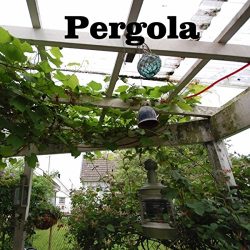 2011 Pergola (bonus tracks)