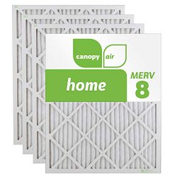 Canopy Air 16x25x1 MERV 8 (4 Pack) Dust Protection Air Filter for a Healthy Home, 16x25x1, Box o ...