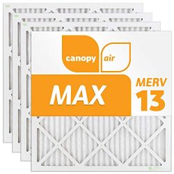 Canopy Air 20x20x1 MERV 13 (4 pack) MAX Allergen Protection Air Filter for a Healthy Home, 20x20 ...