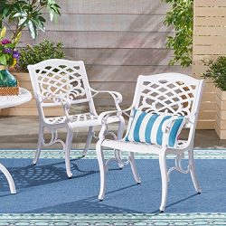 Great Deal Furniture Brody Outdoor White Cast Aluminum Arm Chair (Set of 2), White