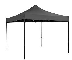 TrioTech Premium Canopy Tent 10×10 Feet Canopy – Easy to Set Up – UV Coated and ...