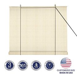 Windscreen4less Exterior Roller Shade Blinds Outdoor Roll Up Shade with 90% UV Protection Privac ...