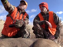 Public Land Mule Deer Hunt – Three Mule Deer In One Day