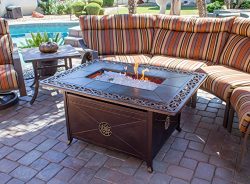 Hiland FS-1212-T-10 Decorative Propane Fire Pit, Large, Bronze Cast Aluminum