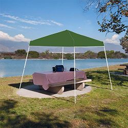 Z-Shade Instant 10 x 10 Foot 190D Taffeta Outdoor Canopy with Carry Bag, Green