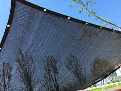 YGS Perfect Sunblock Shade Cloth With Grommets 70% UV 10 ft x 20 ft Black for Plant Cover Greenh ...