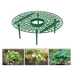 5pc Strawberry Plant Growing Supports Keep Strawberries Off Rot in The Rainy Days, Patio Lawn Ga ...