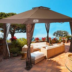 LAKE & TRAIL 13’x13′ UV Block Sun Shade Canopy with Hardware Kits, Gazebo Shade  ...