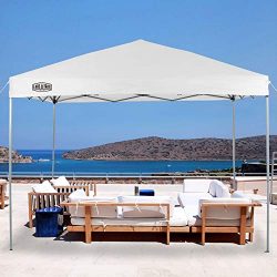 LAKE & TRAIL 10’x10′ Striaght Leg UV Block Sun Shade Canopy with Hardware Kits,  ...