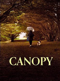 Canopy