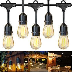 JUSLIT Outdoor String Lights, 48Ft LED Patio Christmas String Light, 16 Edison Bulbs, 15 Hanging ...